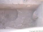 L_V16u0109 J1v42 N907 cd.jpg L_V16u0109 J1v42 N907 cd